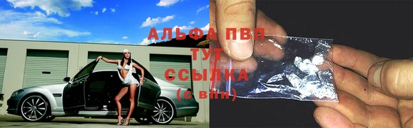 Альфа ПВП Баксан