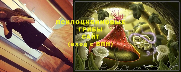мескалин Весьегонск