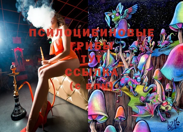 Альфа ПВП Баксан
