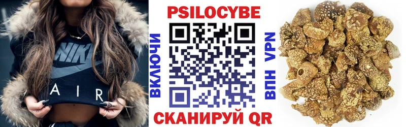 Галлюциногенные грибы Psilocybe  OMG рабочий сайт  Корсаков 